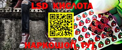 PSILOCYBIN Кингисепп