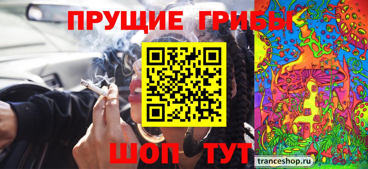 Галлюциногенные грибы ЛСД Владикавказ