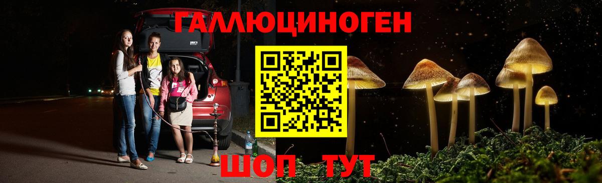 Галлюциногенные грибы GOLDEN TEACHER  Вход с VPN  Владикавказ 